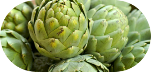 Artichoke Extract