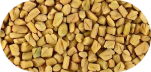 Fenugreek