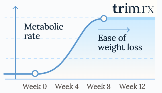 TrimRx GLP-1 Timeline